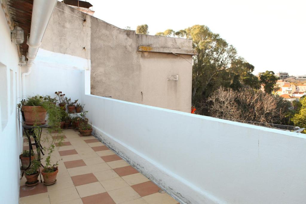 Alegria Apartment in Principe Real room 4