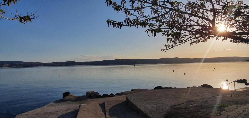 Apartman Marija room 5