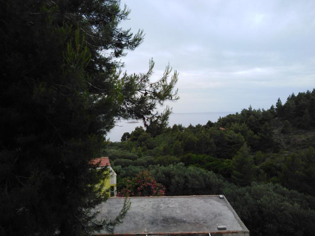 Apartman Ana room 1