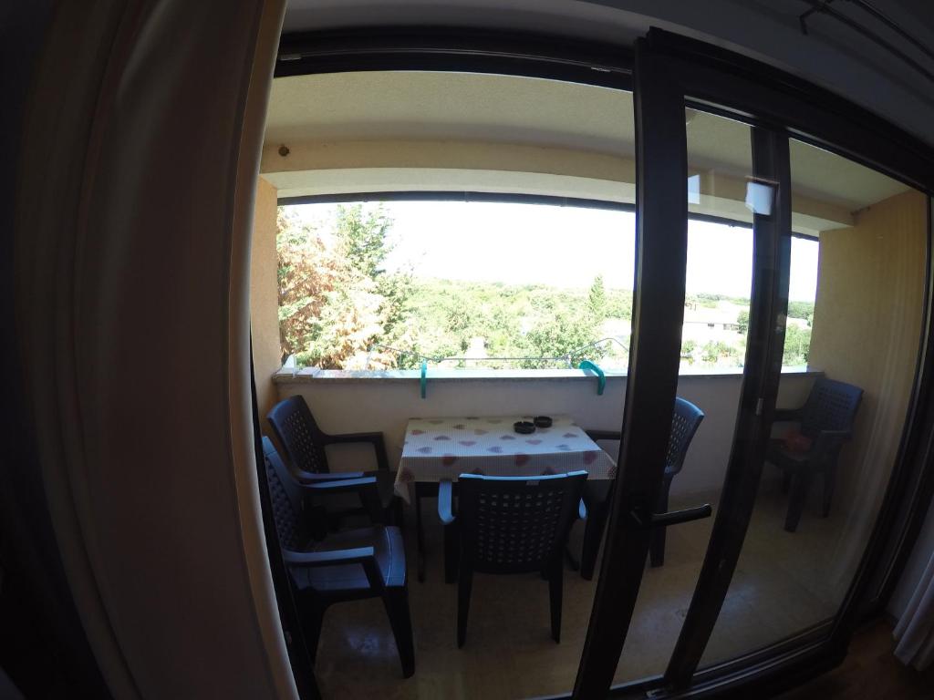 Apartman Koralj room 4