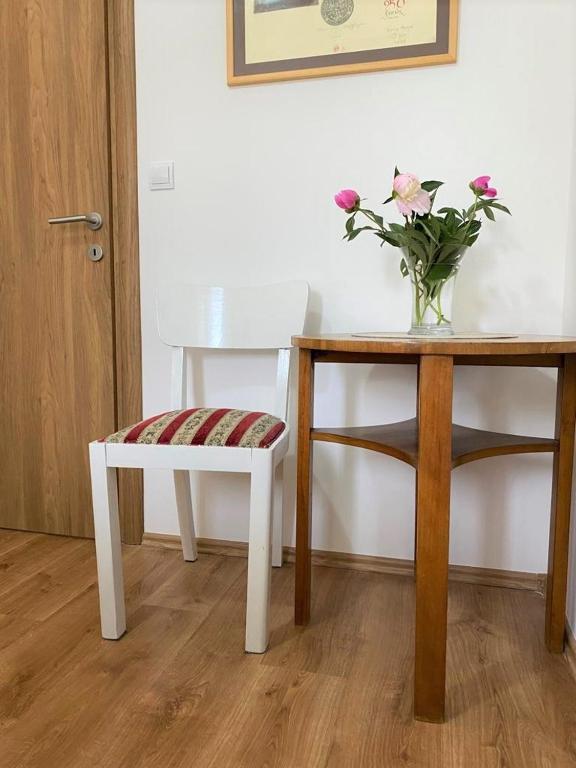 APARTMAN MAZALIN room 5