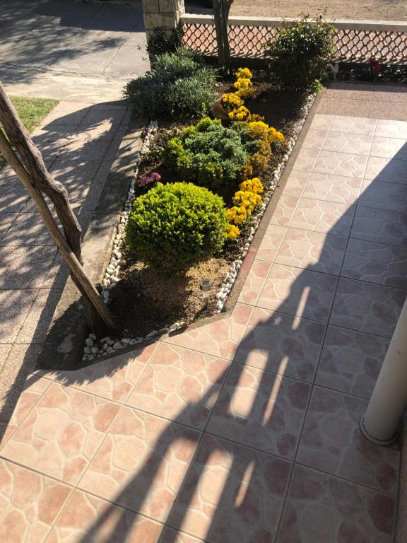 Apartmani Anamar Supetarska Draga room 6