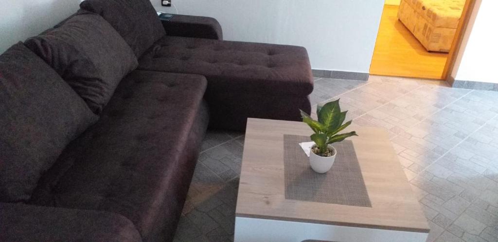 Apartmani HELENA Vir room 1