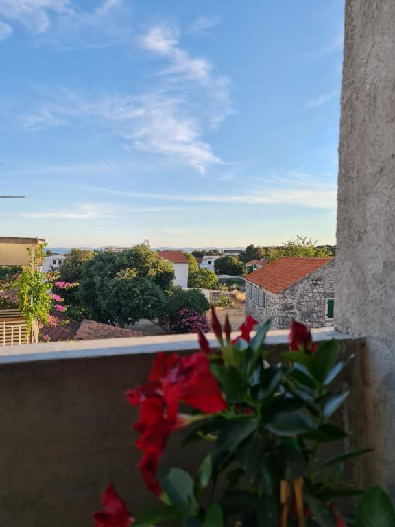 Apartmani Lola room 4