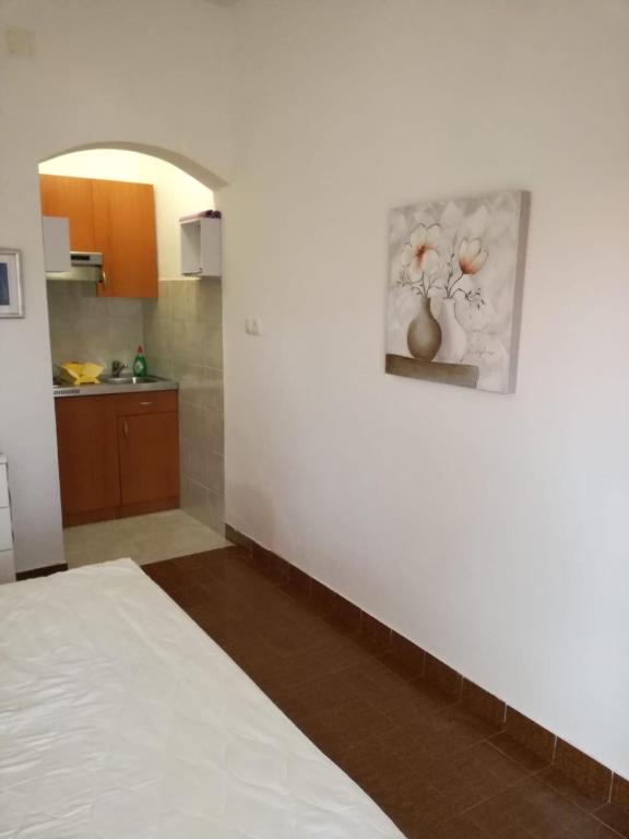 Apartmani Mladina room 1