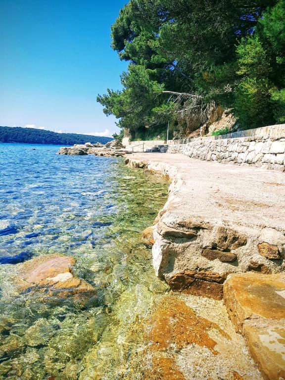 APARTMANI RUZARIJA room 4