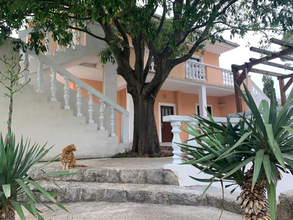 Apartmani Spomenka room 3