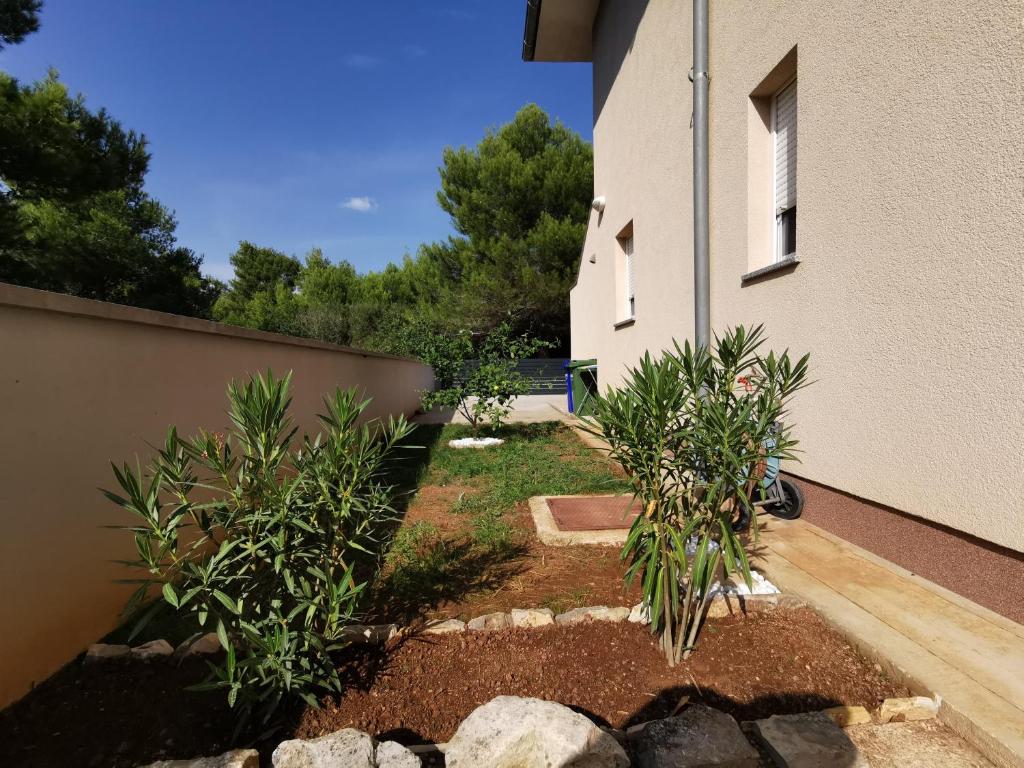 Apartment Dundo in quiet green area room 5