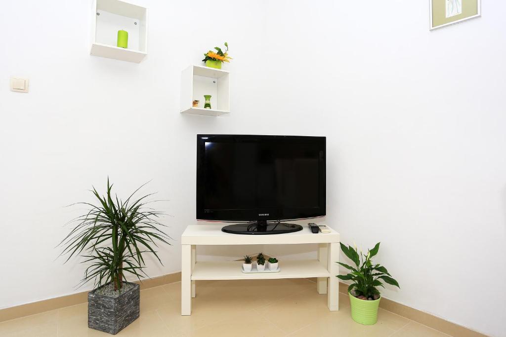 Apartment Luce room 2