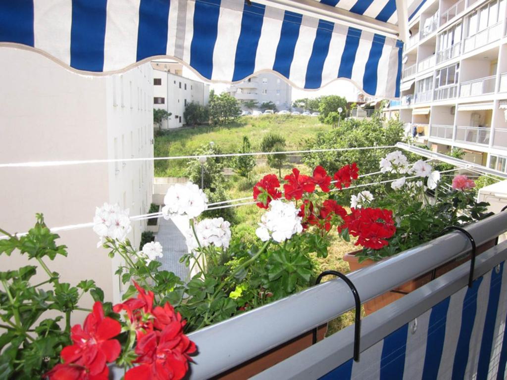 Apartment Marija room 3