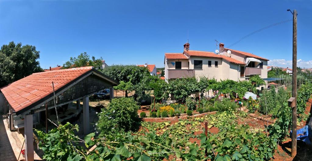 Apartments Duda room 5