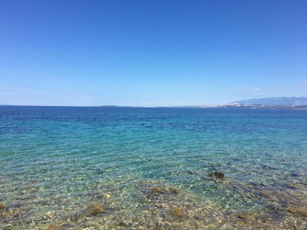 Apartments Kristina room 3