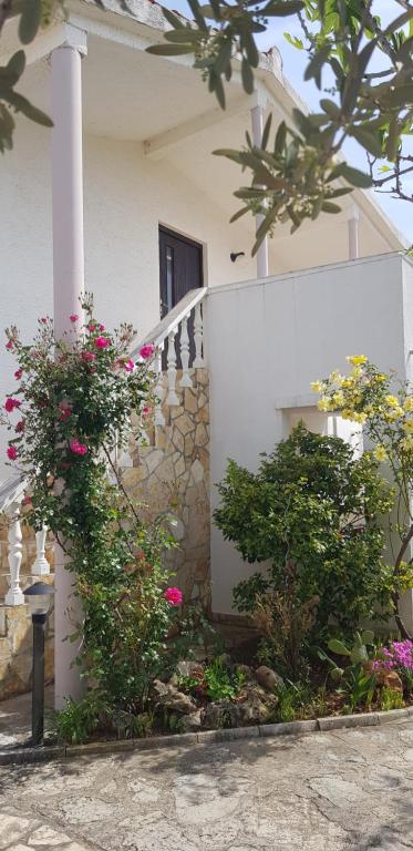 Apartments Mas-Rafaj room 2