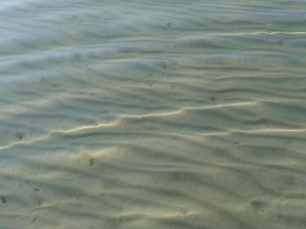 Apartments Mas-Rafaj room 4