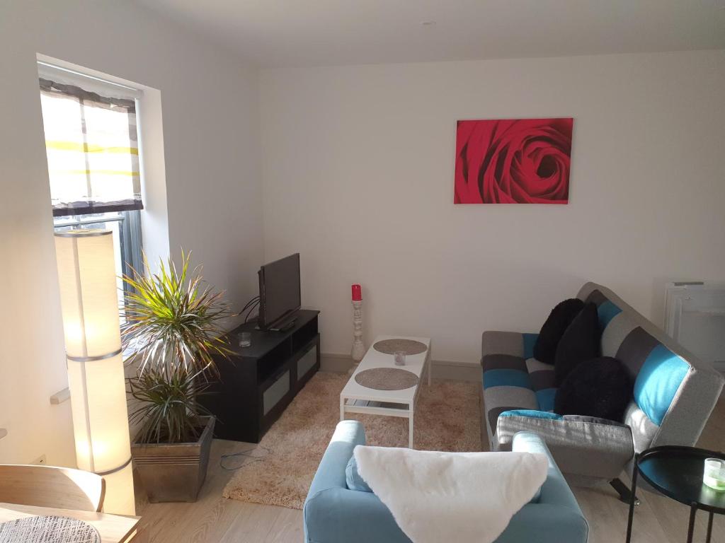 Blue Ivy Apartments room 3