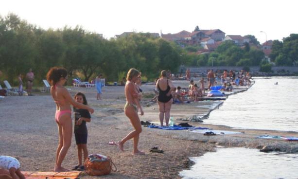 Bozo Alviz Raslina room 5