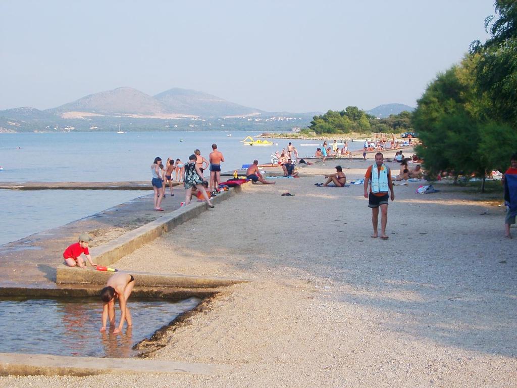 Bozo Alviz Raslina room 6