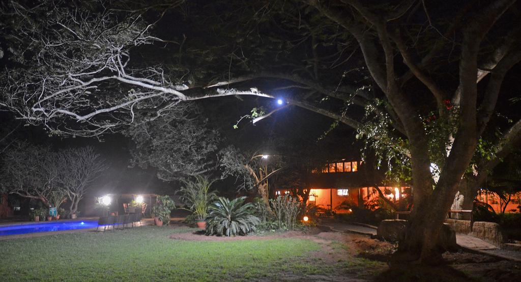 Bushbaby Lodge and Camping room 3