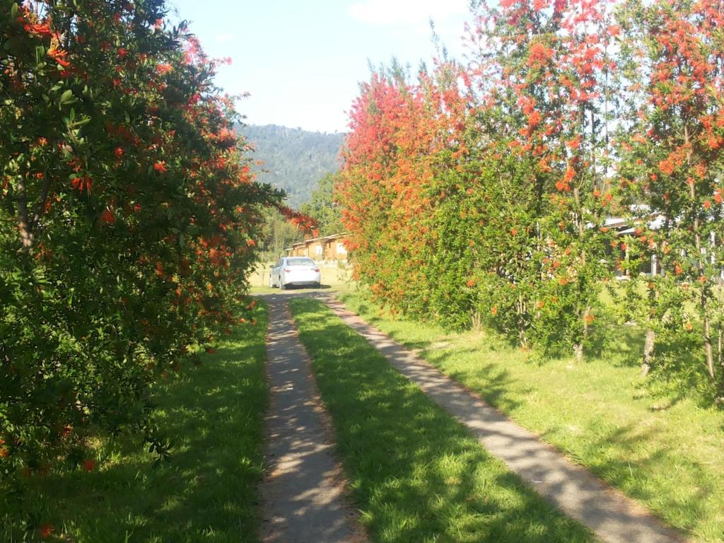 Cabañas Aitue Kasablanka de Cudico room 1