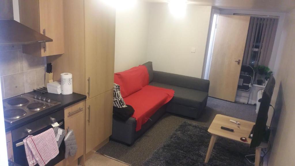 Lower Cathedral Road Apartment room 4