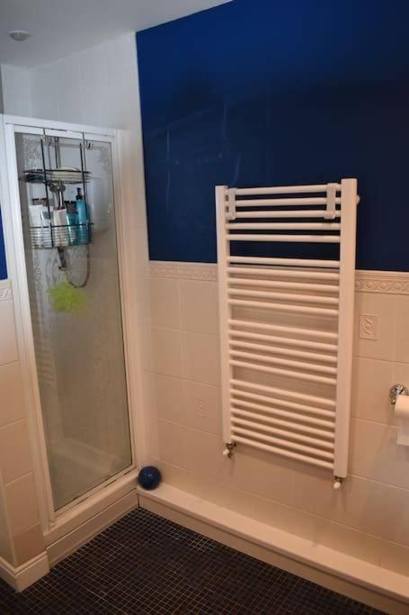 Ceulanydd BnB room 4