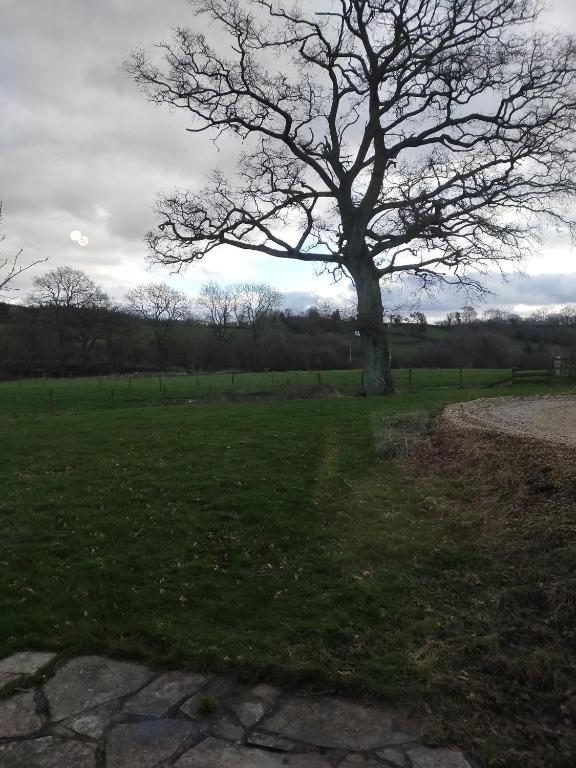 Coed Canol Farm room 3