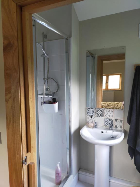 Coed Canol Farm room 4