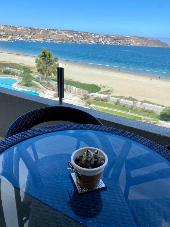 Hermoso departamento costa herradura Coquimbo room 4