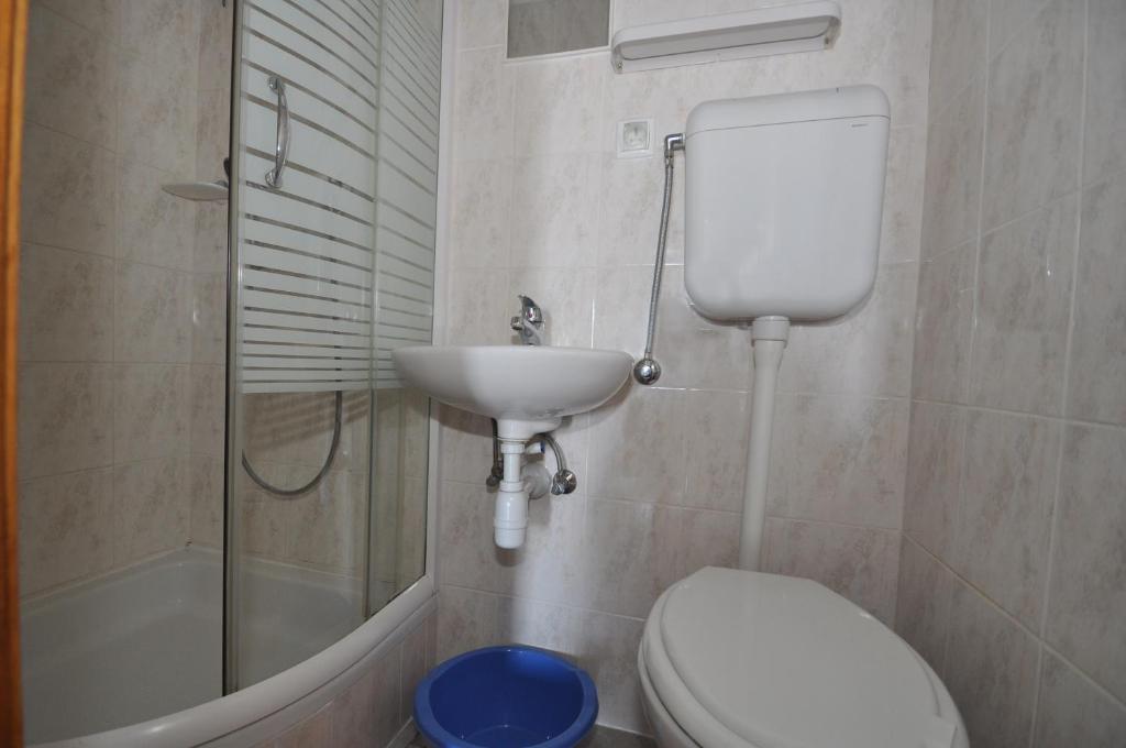 Apartments Davor Ceko room 4