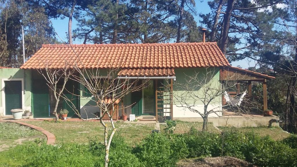 Ecobosque room 1