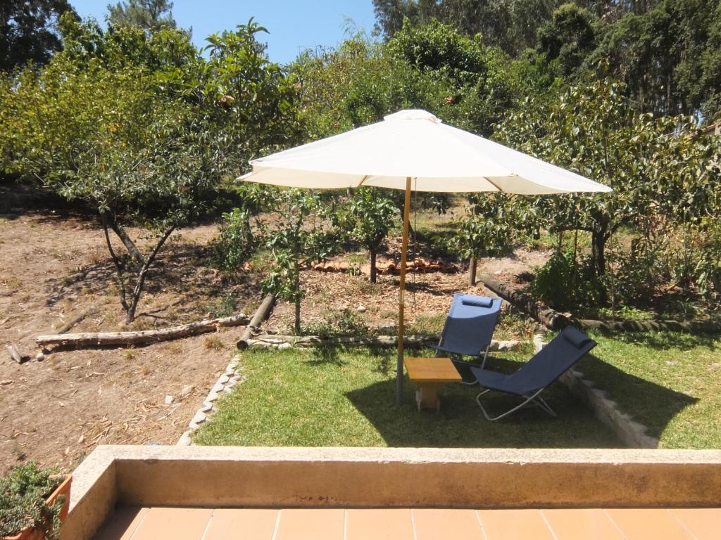 Ecobosque room 5