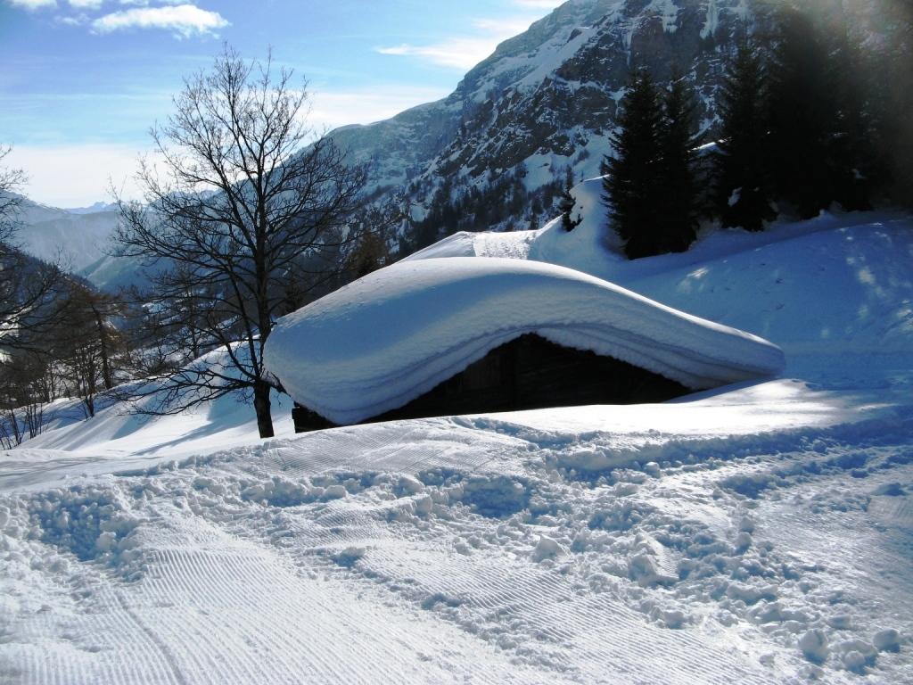 Floralp room 5