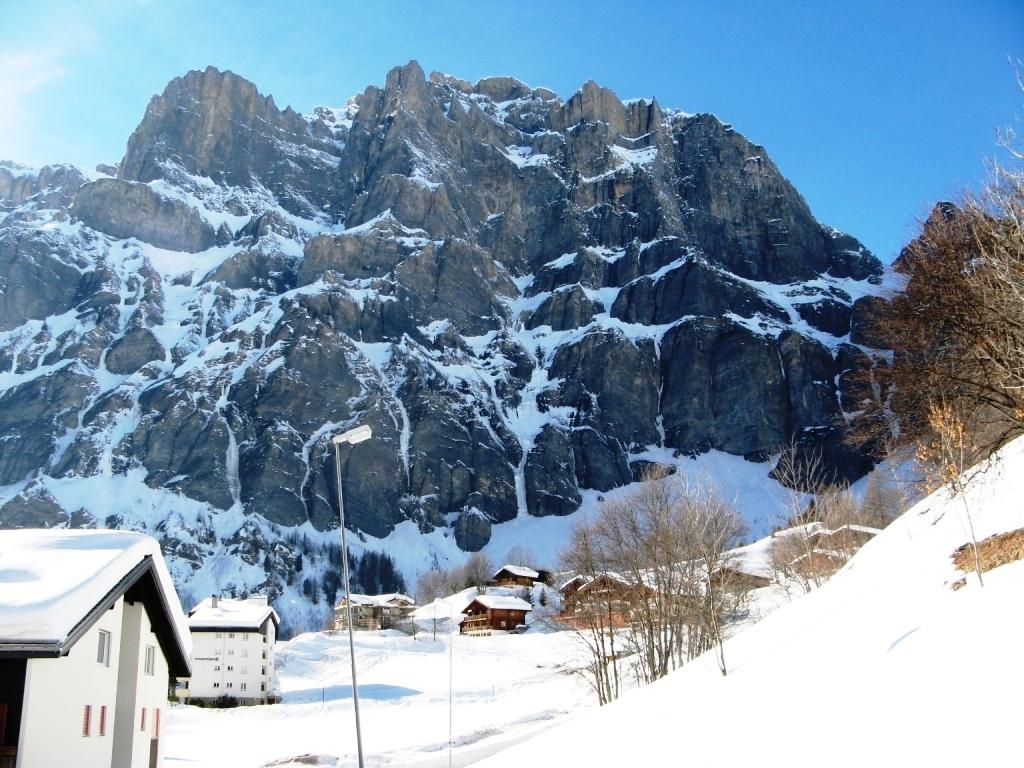 Floralp room 6