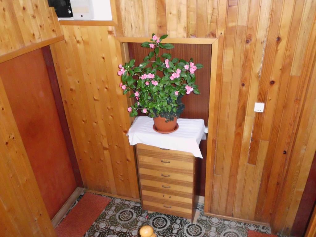 Guest House Krga room 4