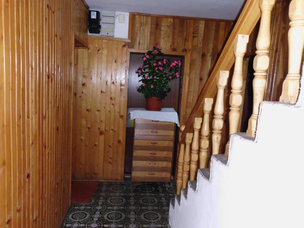 Guest House Krga room 5
