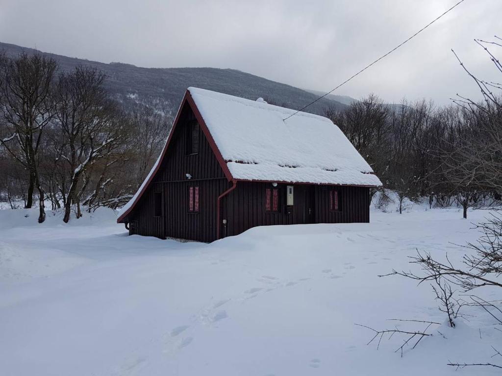 Guesthouse Natura room 2