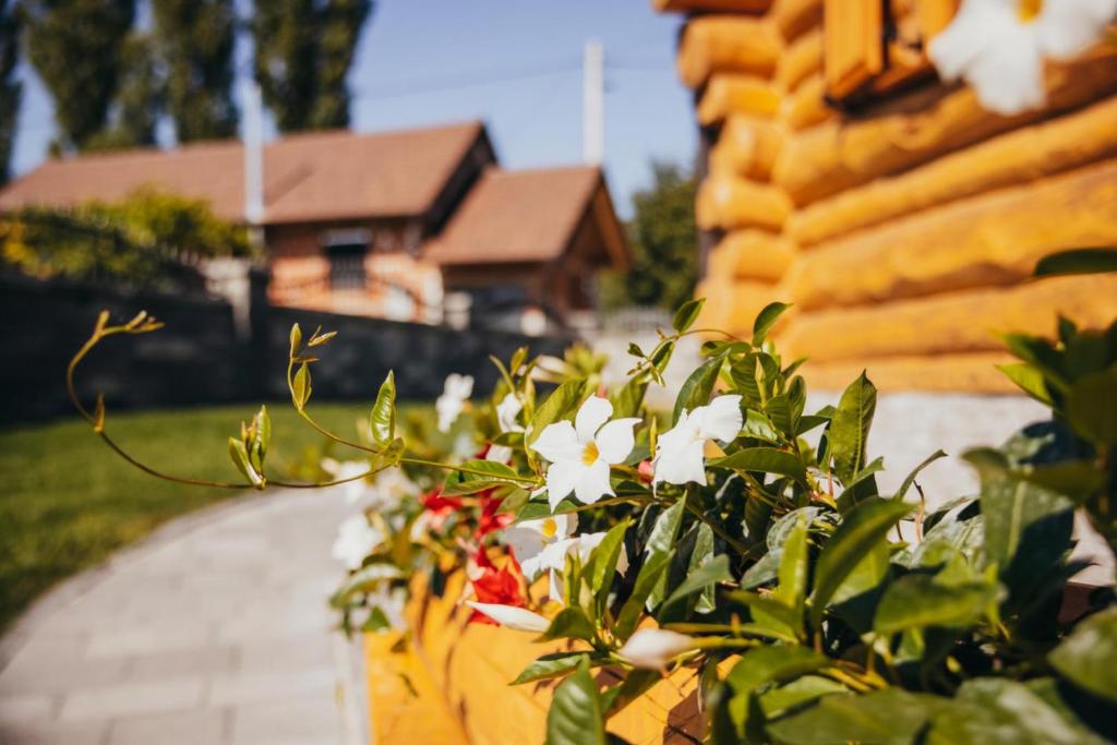 Holiday Home Vinola room 6