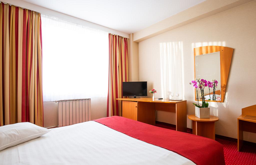 Hotel Dana Satu Mare room 1