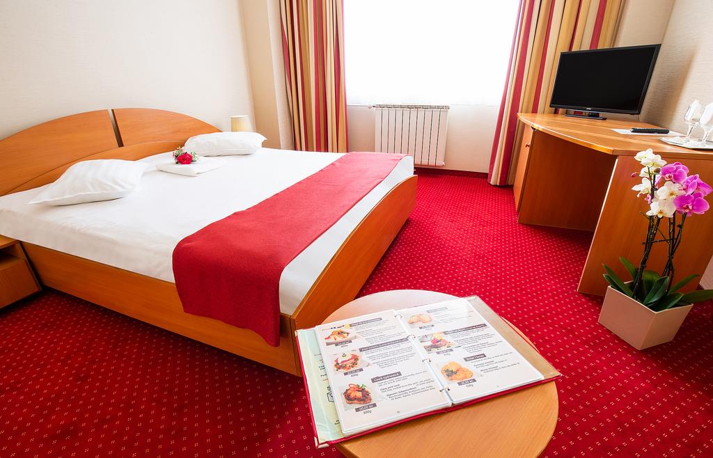 Hotel Dana Satu Mare room 3