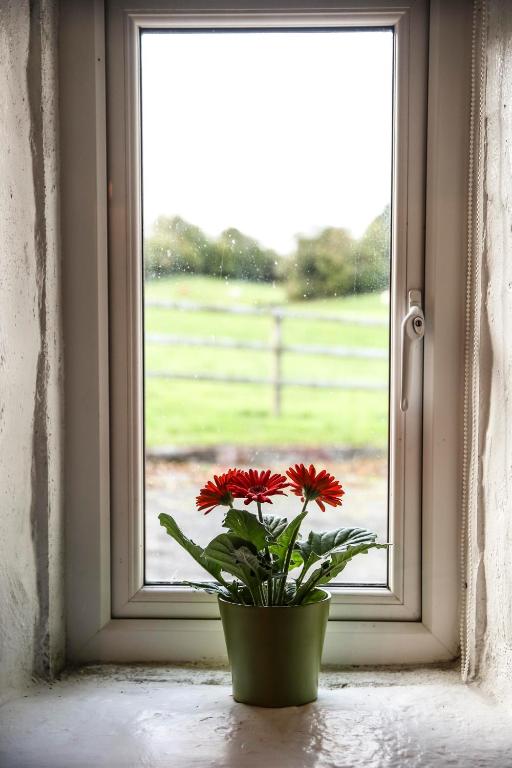 Innish Beg Cottages room 4