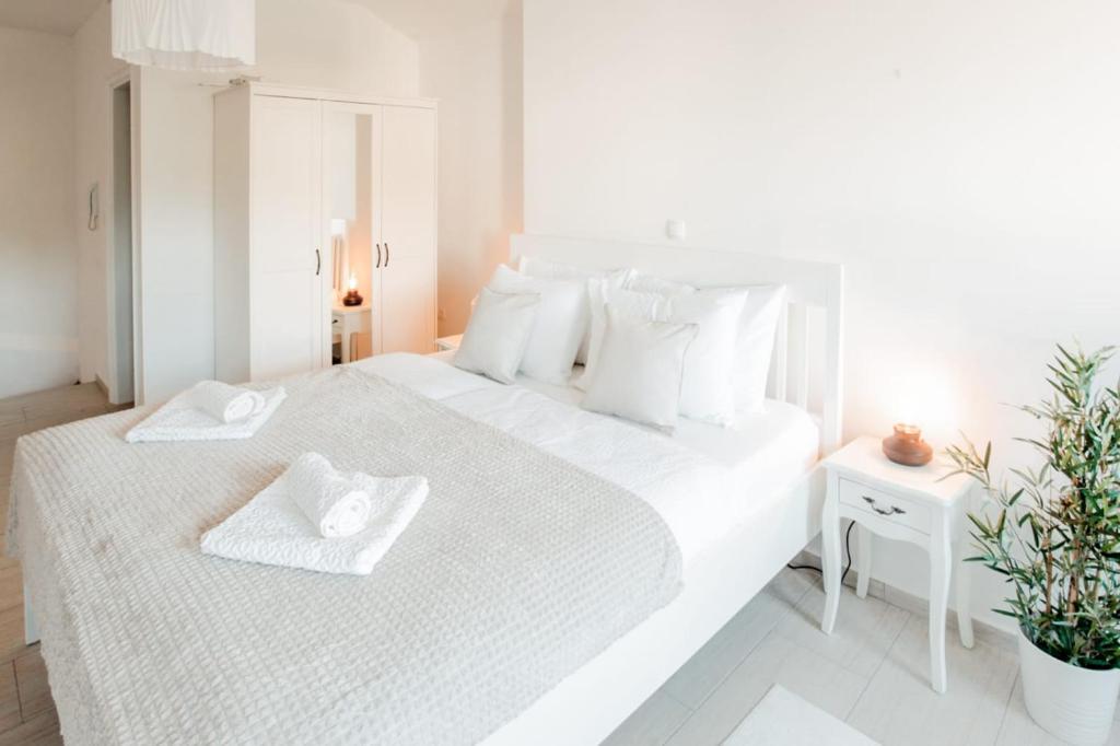 Kuća u centru room 1