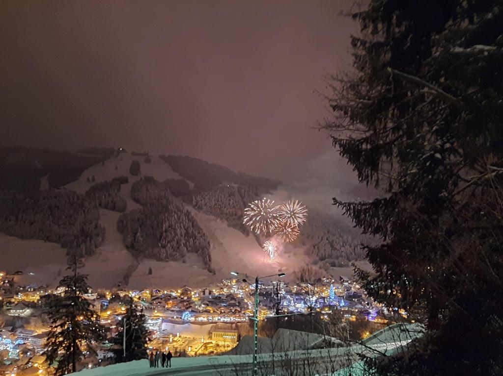 Les Balcons de Morzine room 6