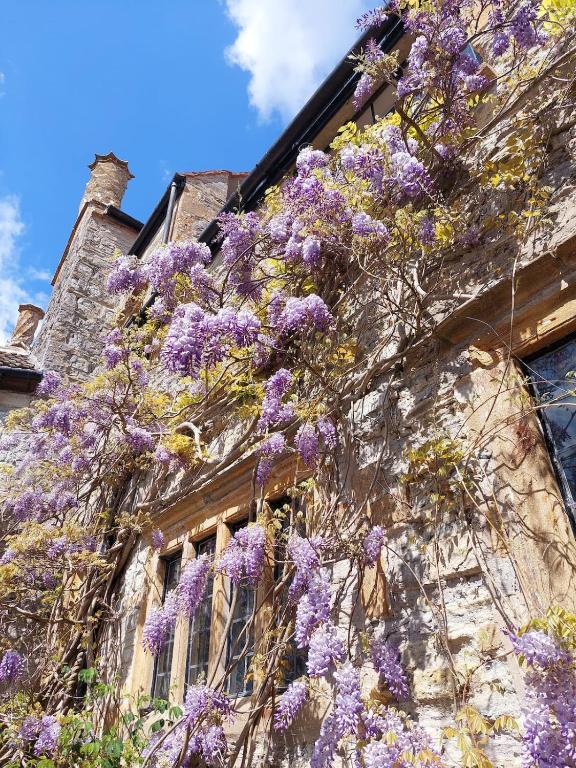 The Manor House, Curry Mallet room 4