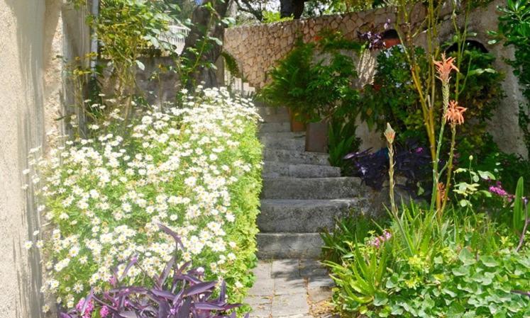 Martiva apartment room 1