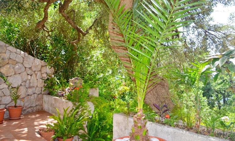 Martiva apartment room 4