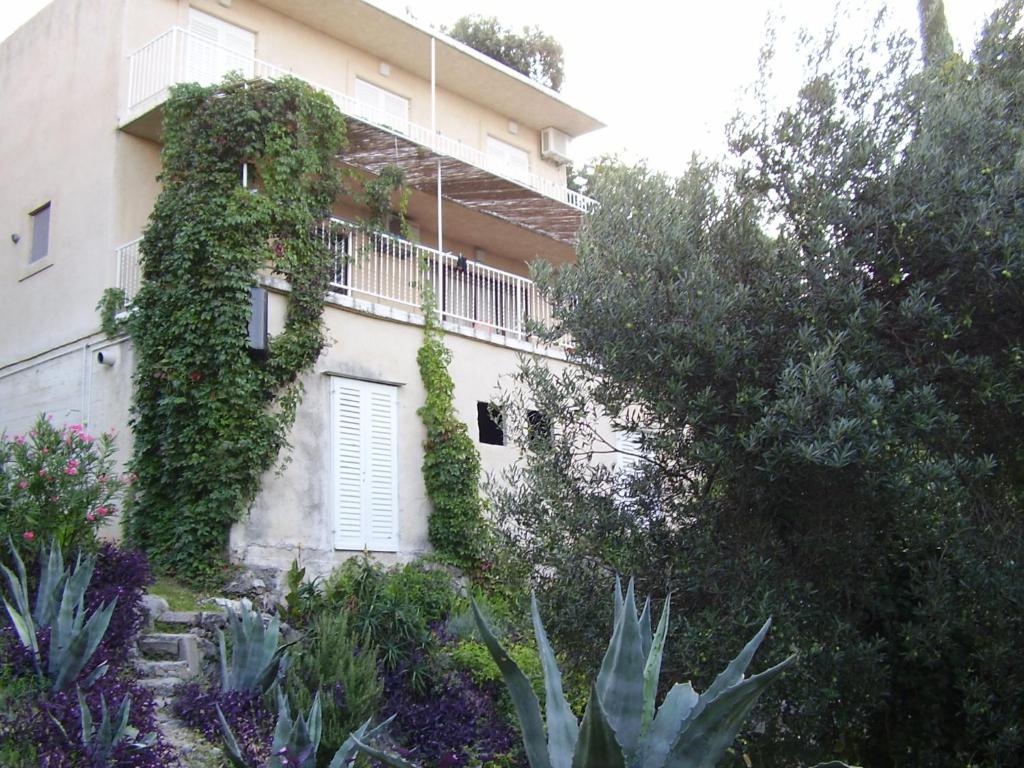 Martiva apartment room 5