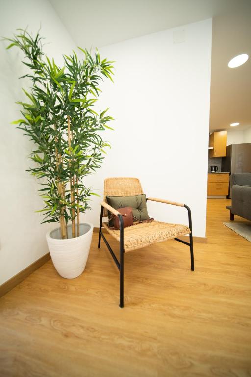 O Melhor Sítio do Mundo - NOVO na Nazaré room 5