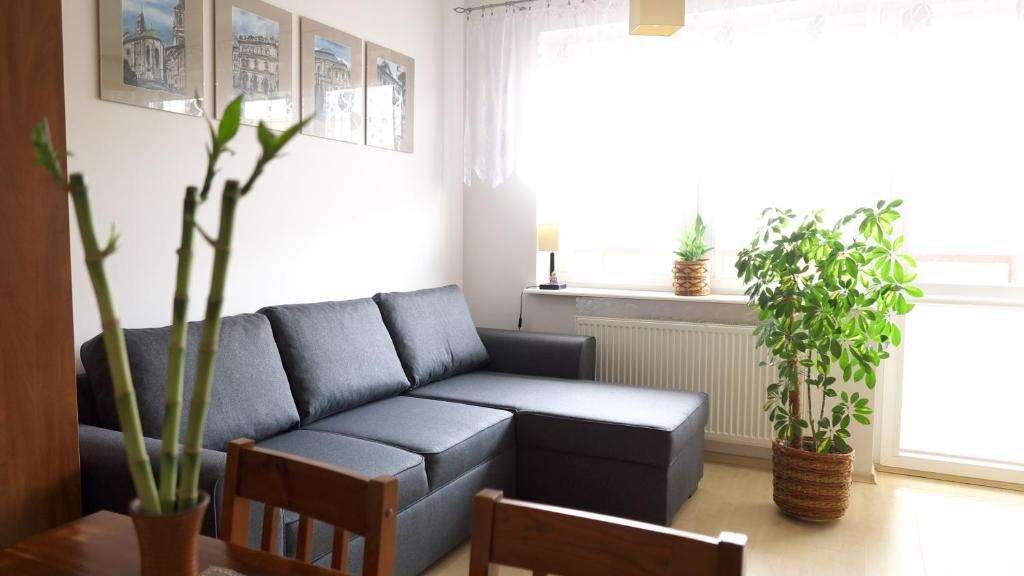 Apartament Orkana room 3