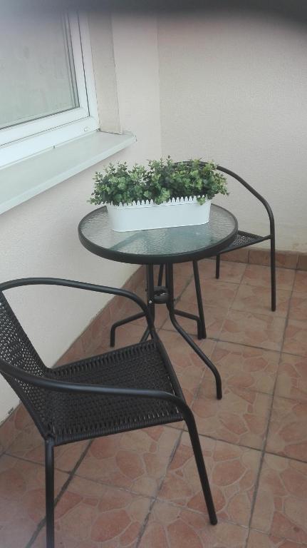 Apartament Orkana room 5