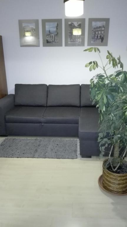 Apartament Orkana room 6